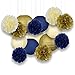 Just Artifacts Decorative Paper Party Pack (15pcs) Paper Lanterns and Pom Pom Balls - Ivory/Navy/Gold