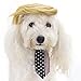 FOMATE Dog and Puppy Costume with Hair Piece Wig and Tie. Make Animals Great Again with This Wacky Political Satire Costume Perfect for Gags, Parties, and Events