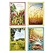 Dayspring Assorted Religious Sympathy Cards (Christian Prayers, 12 Cards and Envelopes) primary