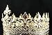 Janefashions Men's Full Round Circle King Metal Hair Jewelry Crown Austrian Rhinestone Crystal Fleur-de-lis Theater Medieval Times T1876g Gold