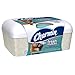 Charmin Freshmates Flushable Wipes 40 Count - with Refillable Tub
