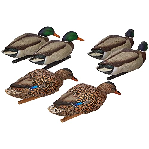 AvianX Topflight Backwater Mallards Durable Ultra Realistic Floating