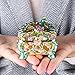 YUFENG Trinket Box Metal Enameled Collectable Wedding Jewelry Ring Holder Organizer (Peacock Box)