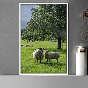 signwin Framed Canvas Wall Art Sheep Animals Expressive...