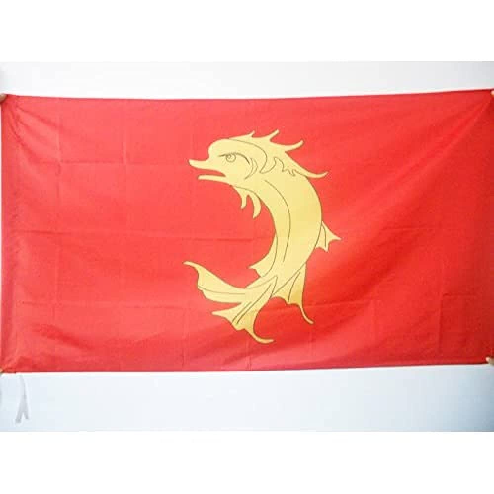 AZ FLAG - County of Forez Flag - 2x3 Ft - Forez Banner with Sleeve - 100% Polyester - Fade Resistant - Vivid Colors - 2' x 3' Feet - 90x60 Cm