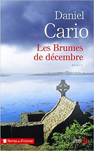 Les  brumes de décembre : roman
