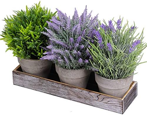 lavender planter box Heath Lavender - Plant the Box Diffuser