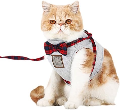 Kpmall Adjustable Comfortable Soft Mesh Harness Jacket and Leash Kitty Clothes Small Puppy Harness Vest Jacket-XS