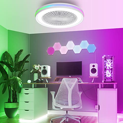 activeallbrite Ceiling fan with lighting, LED 40W, RGB 3000K-6500K, wind speed adjustable by remote control, suitable for room from 10 to 13 m2 (kitchen, living room, bedroom), Ø47 cm