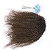 Lacer Afro Kinky Curly Human Hair Ponytail Hair Extensions 4B 4C Coily Natural Remy Curly Clip in Ponytail Extension One Piece For Black Women 10-20 inch (14 inch, Ombre #1B/4 Dark Brown)