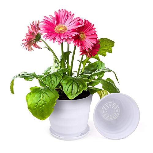 EKNOW Flower Pots, Indoor Plant Pots Set of 12, Planter Pots with