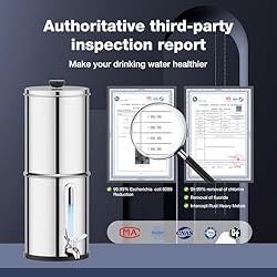 Gravity Water Filtration System - Water Level