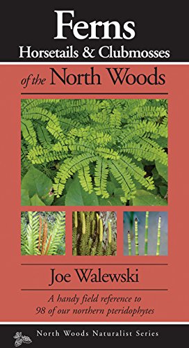 Ferns of the North Woods: Including Horsetails & Clubmosses (Naturalist Series)