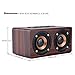 DYJ Mini Wood Bluetooth 4.0 Speaker,10W Output Power with Two Passive Subwoofers and Enhanced Bass,Portable Wireless Speaker for iPhone, iPad, Samsung, HTC, Laptop(Red)