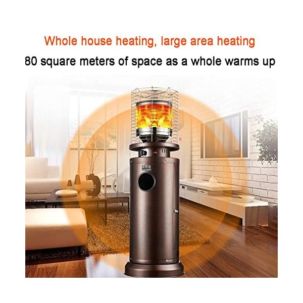 CRZJ Estufa de Terraza, Calentador de Patio, Calentador de Gas al Aire