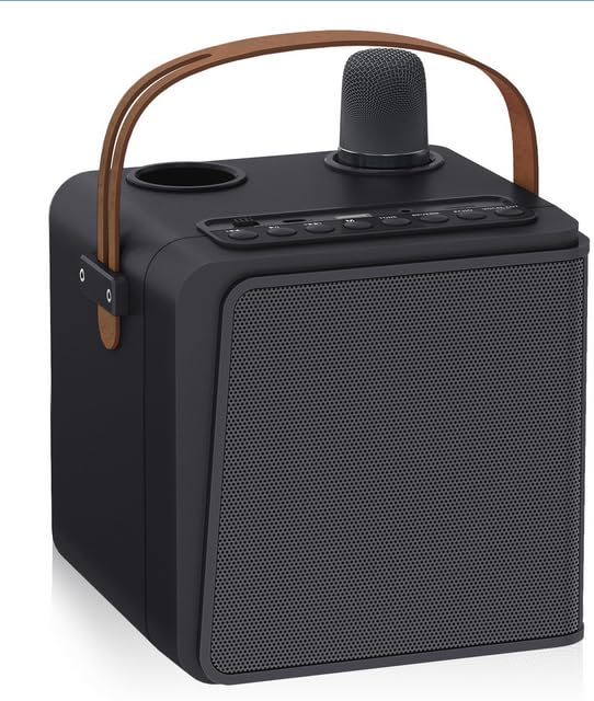 Lanlelin Home Karaoke Machine for Kids, Portable Karaoke Machine, Stereo Sound, Superior Sound Quality, Dynamic Sound, KTV Function for Kids Party