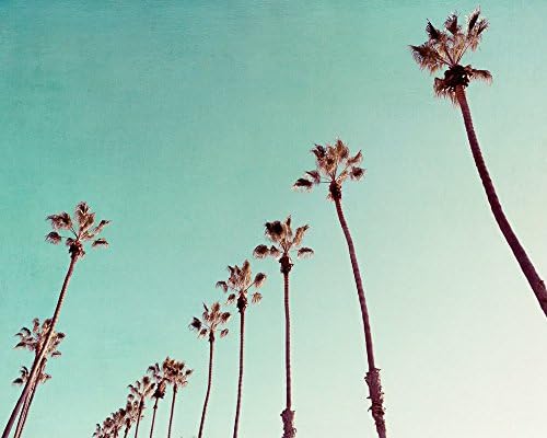 Aqua Beach Print, Beach House Decor, Palm Tree Photography, Beach House Decor, California Wall Art - "Just Another Cool Cali Morning"