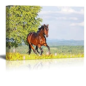 Canvas Prints Wall Art - Bay Horse Skips on a Meadow Against Mountains | Modern Home Deoration/Wall Art Giclee Printing Wrapped Canvas Art Ready to Hang - 12" x 18"
