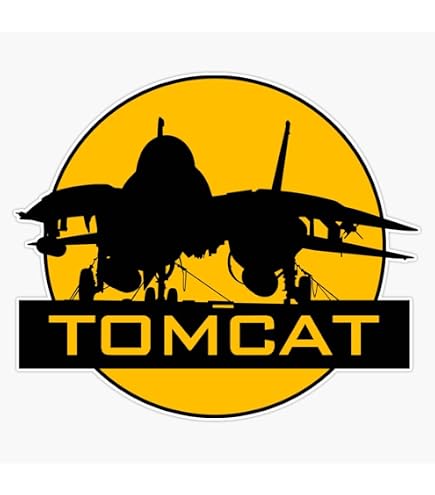 Jet Noise Freedom F-14 Tomcat American Flag Sticker - 5" Waterproof Decal