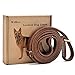 Wellbro Real Leather Slip Lead Dog Leash, Adjustable Stitched Pet Slip Leads with Slider, Heavy Duty Flat Dog Training Leashes for Medium and Large Dogs, 5ft Long by 0.7