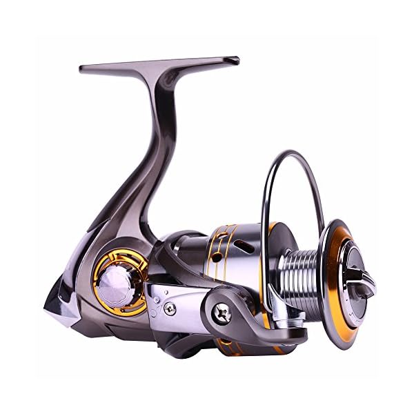 Sougayilang-Leftright-Interchangeable-Collapsible-Handle-Spinning-Fishing-Reel-with-521-Gear-Ratio-121-Ball-Bearings-for-Freshwater-Saltwater-Fishing
