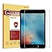 OMOTON Screen Protector for iPad 9.7 6th & 5th Generation, iPad Pro 9.7 Inch, iPad Air 2, iPad Air 9.7 Inch- Tempered Glass/ Apple Pencil Compatible/ Ultra Clear