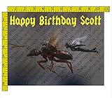 Ant-Man and the Wasp Flying Personalized Birthday