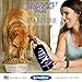 Best Paw Nutrition - Unflavored Liquid Glucosamine for Dogs & Cats - Chondroitin, MSM, Hyaluronic Acid - Dog Arthritis Home Remedy - Joint Supplement for Hip & Joint Pain Relief Pets Love - 32oz