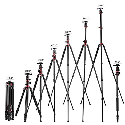 ZOMEi DSLR Camera Tripod 4 Section Portable Magnesium Aluminium Monopod Professional Tripods with 360 Degree Horizontal Rotation Ball Head Quick Release Plate for Canon Nikon Sony DSLR Cameras DV