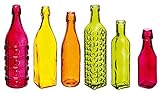 Evergreen Enterprises, Inc 6 Piece Decorate Your Garden Glass Bottle Set