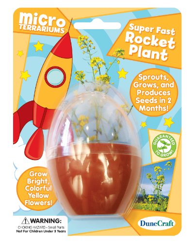 Dunecraft Rocket Plant Science Kit