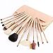 amoore Makeup Brushes 12pcs Makeup Brush set Makeup Brush with Case Foundation Brush Powder Brush