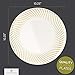 Disposable Plastic Dinner Plates - 50 Pack 10.25
