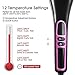 HOCOSY Hair Straightener Brush, Anti-scald Electric Ionic Straightening Comb with Ceramic Heating, 250℉-390℉ Adjustable & Auto-Off Function Hair Brush, Portable Hair Comb for Thick & Frizzy Hair