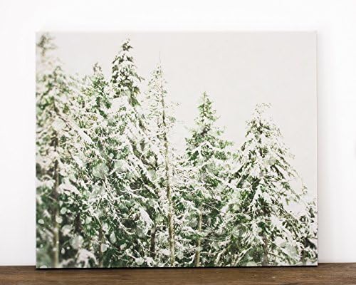 20x24 inch Winter Canvas Art, Ready to Hang Nature Artwork