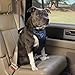 PetSafe Happy Ride Dog Safety Harness for Cars - Dog Car Harness Includes Seat Belt Tether - Keeps Pets Restrained - Breathable Mesh, Adjustable Straps - Dog Travel Accessories for Car - Large