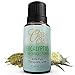 Eucalyptus Oil by Ovvio Oils | Premium Therapeutic Grade | 100% Pure Aromatherapy | Large 15ml