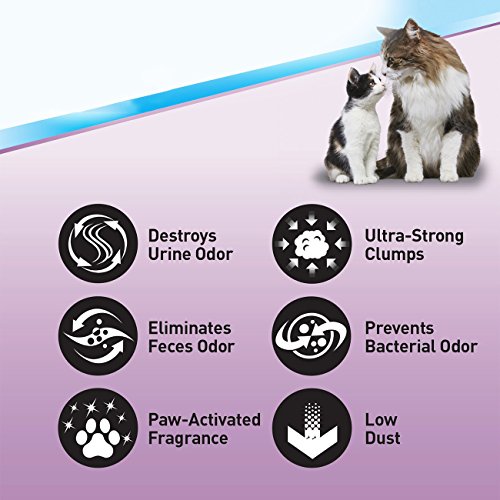 Scoop Away Multi-Cat, Scented Cat Litter, 25 Pounds