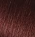 Garnier Nutrisse Nourishing Color Creme, 69 Intense Auburn