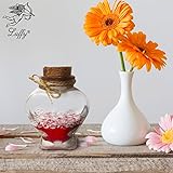 Luffy Heart Shaped Gift Set by Unique Christmas Gift for a Special One - Bonding DIY activity with Friends & Family - Includes a Heart Shaped Bottle with Cork Stopper, Sand, Decorative Diamonds