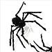 JCare 49 Inch 125CM Large Size Black Realistic Fake Plush Spider Puppet Prank Jokes Toy Made Of Wire And Plush Halloween Props Spider Funny Toy For Party Or Bar KTV Halloween Decoration