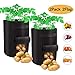 Potato Grow Bags with 2 Access Flap, 10Gallon Garden Planting bags Outdoor/Indoor, Non-woven Planter Pots with 2 Velcro Windows, Planting Pouch with Handles for Potatoes Vegetables (Black, Pack of 2))thumb 3