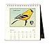 Cavallini 2017 Vintage Birds Desk Calendar