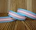 25 Yards Transgender Pride Printed 7/8