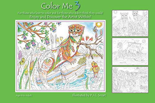 Color Me Your Way 3