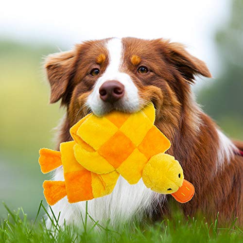 Mihachi 16 Squeakers Dog Squeaky Toys - No Stuffing Plush Pet Chew Toys