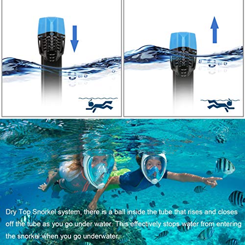 BFULL Snorkel Mask Full Face 180° Panoramic Sea View Anti-Fog Anti-Leak Snorkeling Mask with Action Camera Mount and Soft Adjustable Head Straps for Kids and Adults (Black-Blue, S/M)