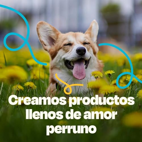 Dogelthy Hydration Powder. Electrolitos para Perro en Polvo Sabor Res. Suero Oral para Perro. Polvo Hidratante para Mezclar con Agua Ideal para Entrenamientos, Paseos o Viajes (150 gr)