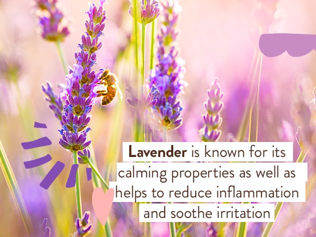 BABO Botanicals Calming Lavender 2-in-1 Bubble Bath & Wash - Relaxing Chamomile & Lavender - EWG Verified- Vegan- for All Ages- Scented with Lavender Essential Oil - 1 or 2-Pack