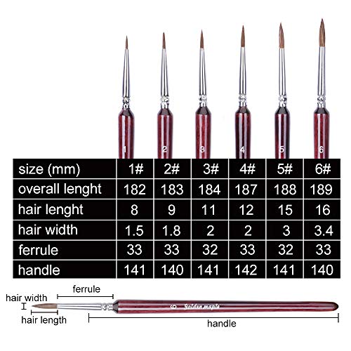 6Pcs Weasel Finest Detail Paint Brush 6pcs/Set, Miniature Art Brushes Fine Liner Round for Watercolor Oil Acrylic, Craft Models Rock Painting & Paint by Number